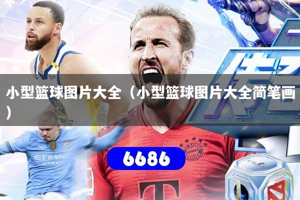小型篮球图片大全(小型篮球图片大全简笔画)